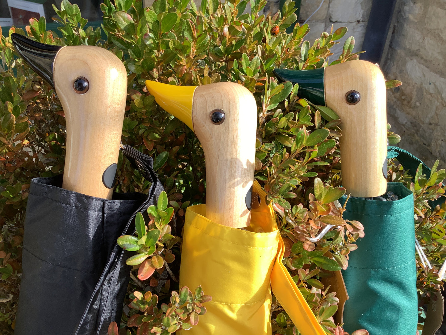 Original duckhead Umbrellas