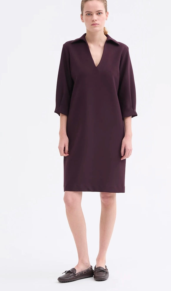 Rosso 35 V Neck Dress