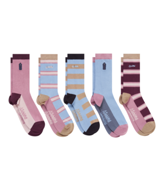 Schoffel Ladies' Bamboo Sock (Box of 5)