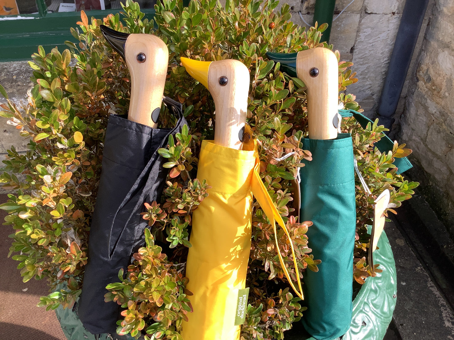 Original duckhead Umbrellas