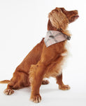 Barbour Tartan Dog bandana