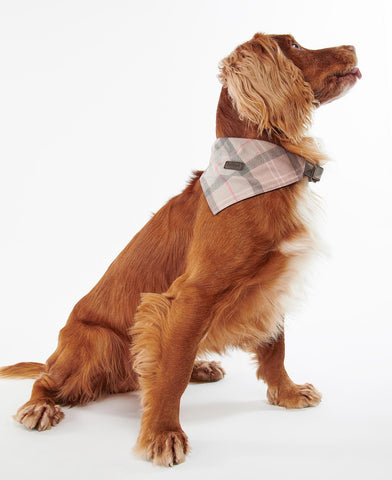 Barbour Tartan Dog bandana