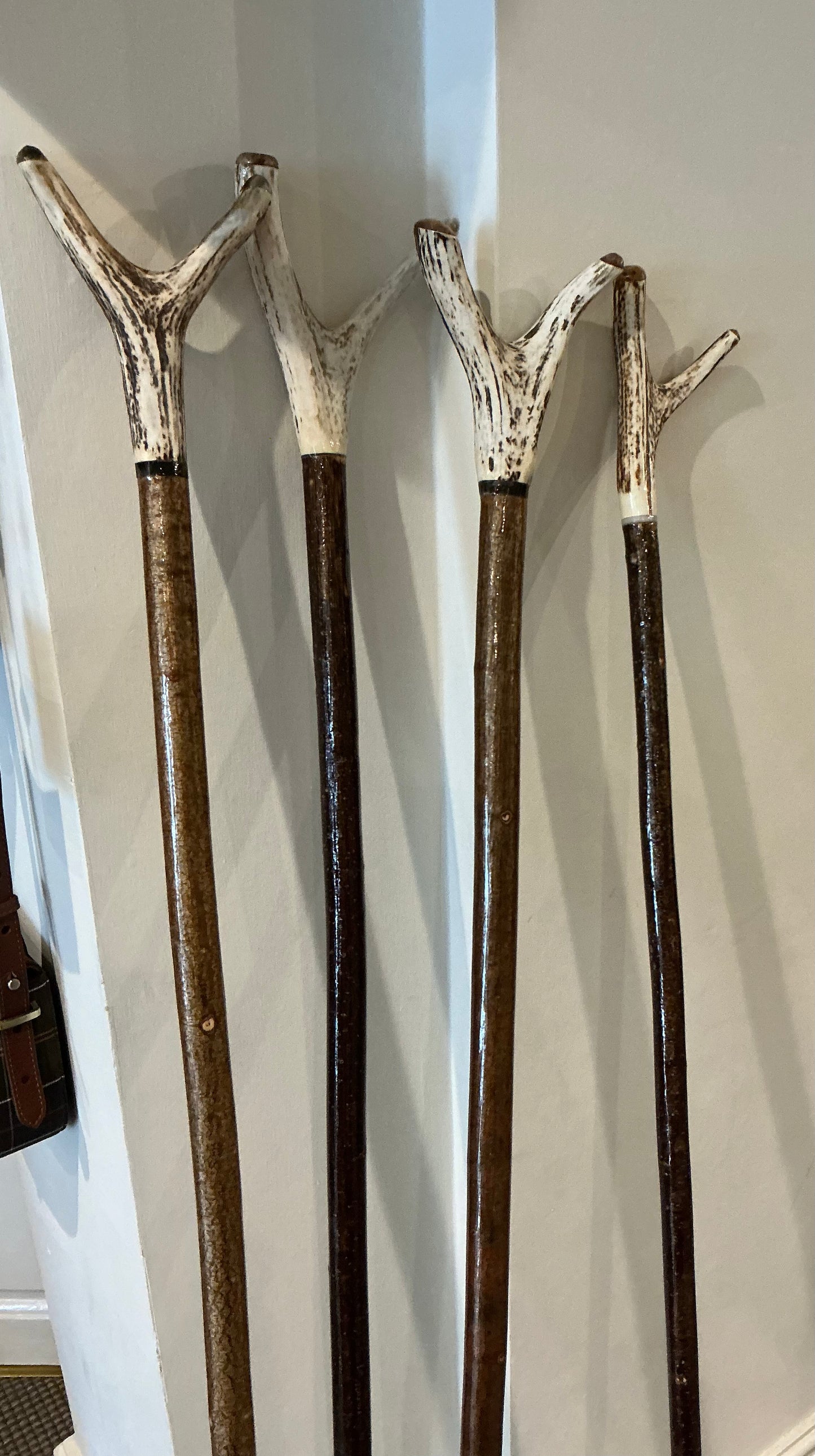 Walking sticks