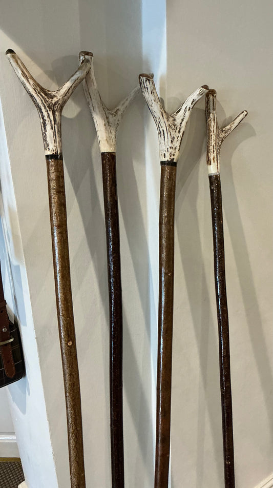 Walking sticks