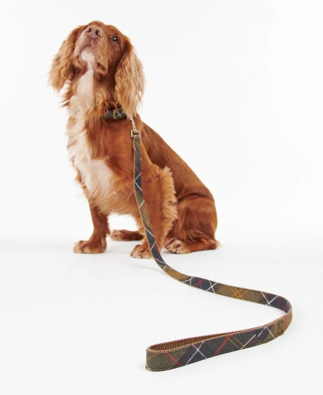 Barbour Tartan Webbing Lead