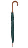 Charles Buyers Green Crook Handle Umbrella