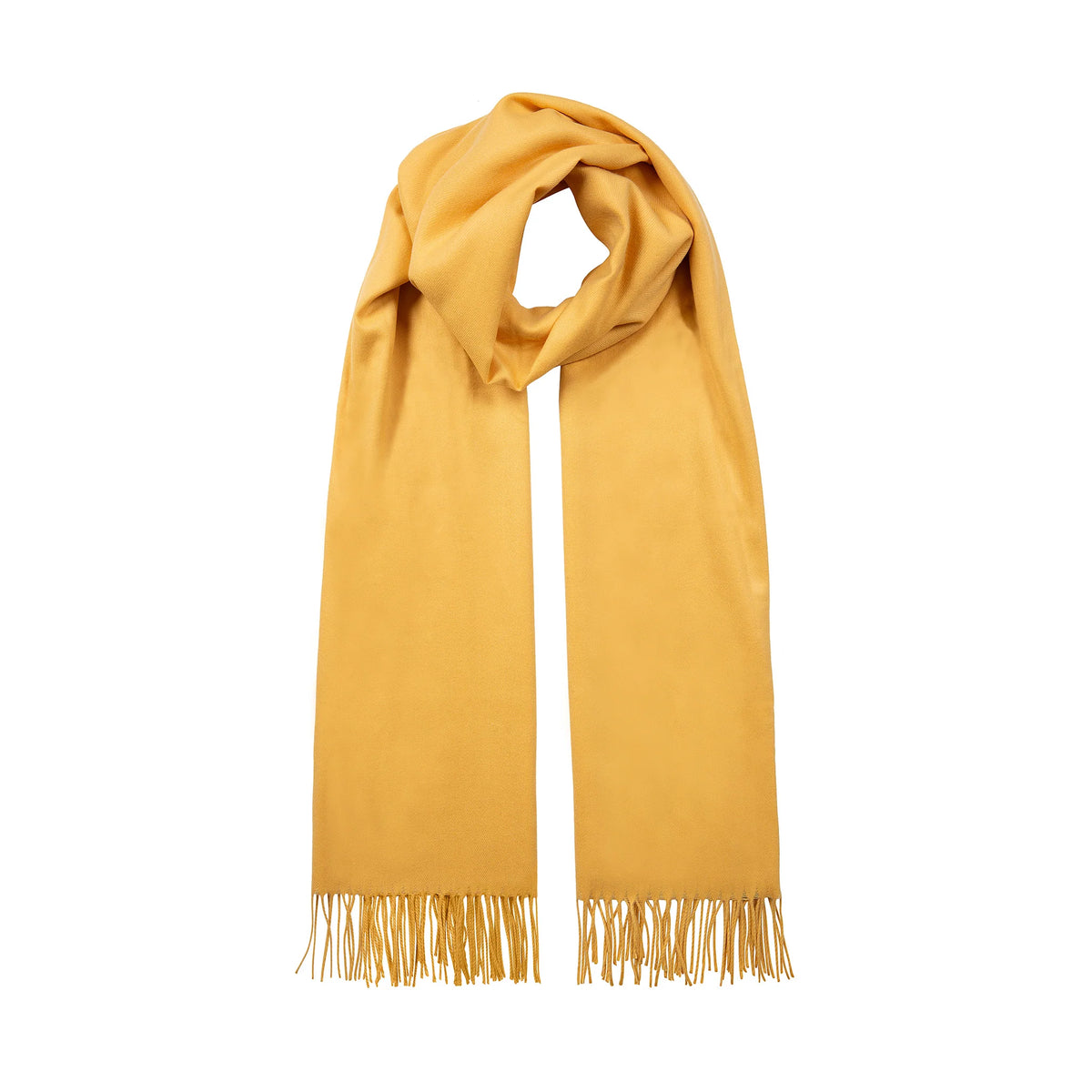 Pashmina Shawl with Tassels