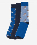 Barbour Dog Socks Gift Set